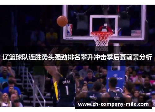 辽篮球队连胜势头强劲排名攀升冲击季后赛前景分析