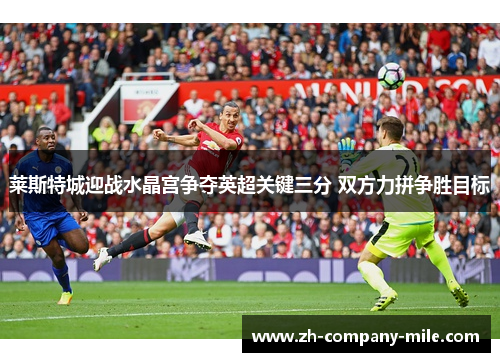 莱斯特城迎战水晶宫争夺英超关键三分 双方力拼争胜目标