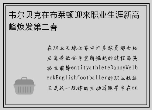 韦尔贝克在布莱顿迎来职业生涯新高峰焕发第二春 韦尔贝克在布莱顿迎来职业生涯新高峰焕发第二春