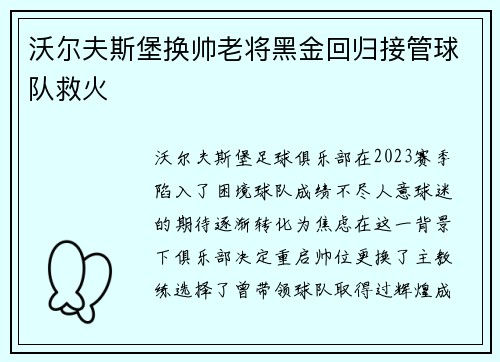沃尔夫斯堡换帅老将黑金回归接管球队救火 沃尔夫斯堡换帅老将黑金回归接管球队救火