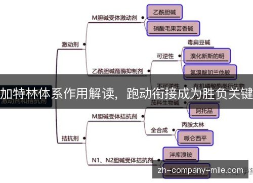 加特林体系作用解读，跑动衔接成为胜负关键